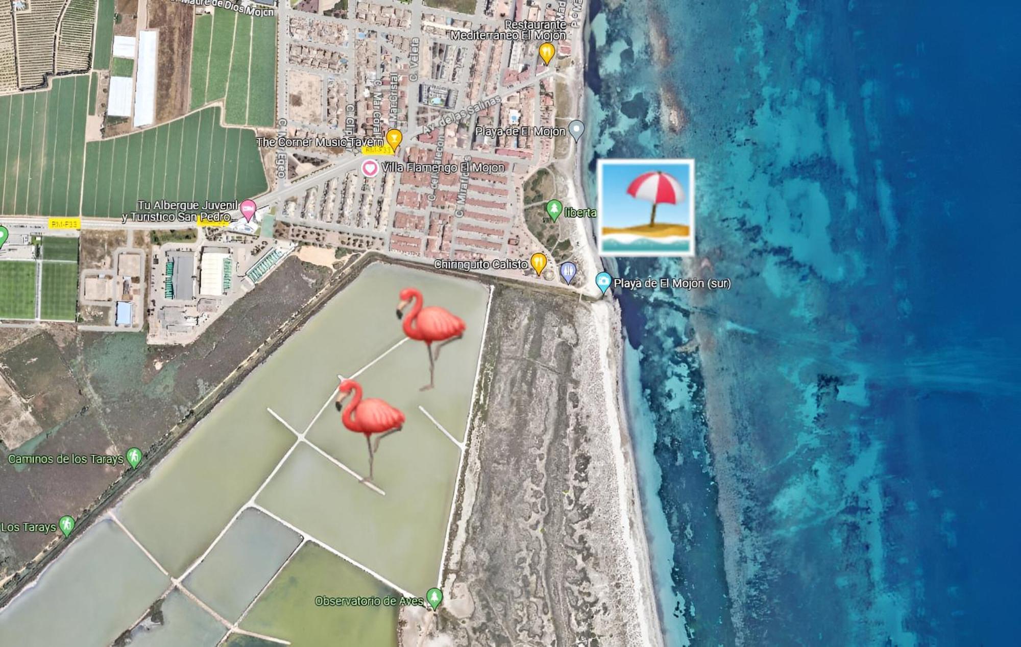 Flamingo Vila Alicante San Pedro del Pinatar Extérieur photo