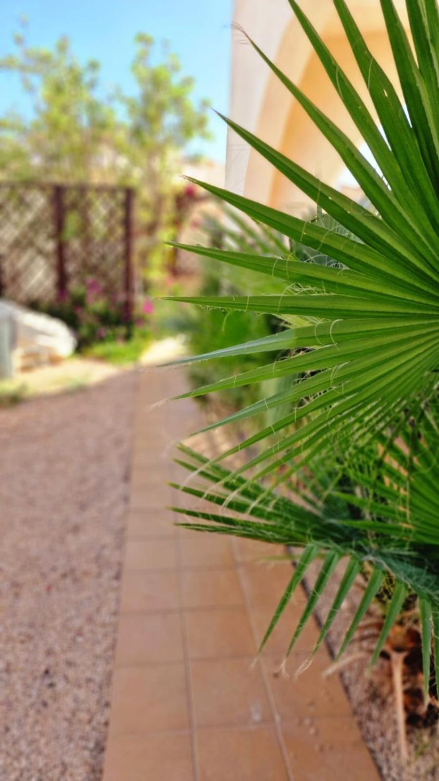 Flamingo Vila Alicante San Pedro del Pinatar Extérieur photo